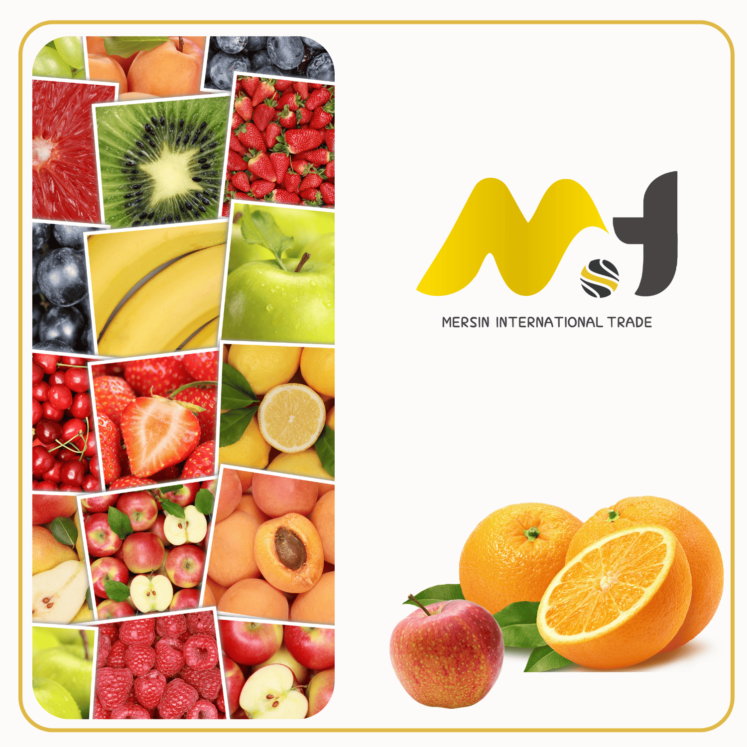 خضار وفواكه فريش